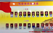 mg冰球突破官网入口集团党委开展党员承诺活动